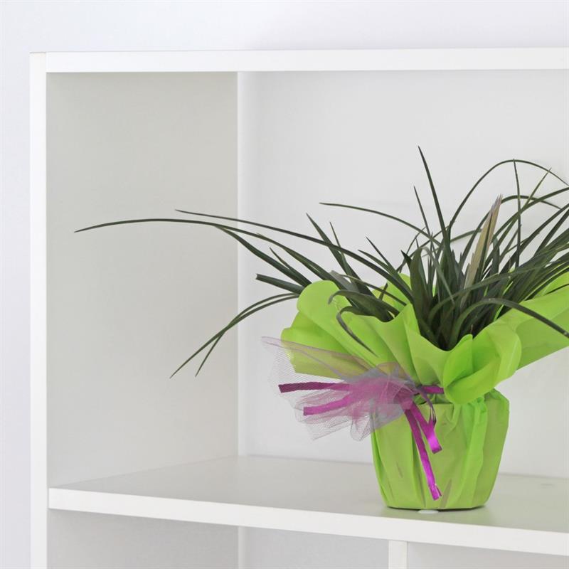 LINZ LIBRERIA BIANCA 124X24X160 CM