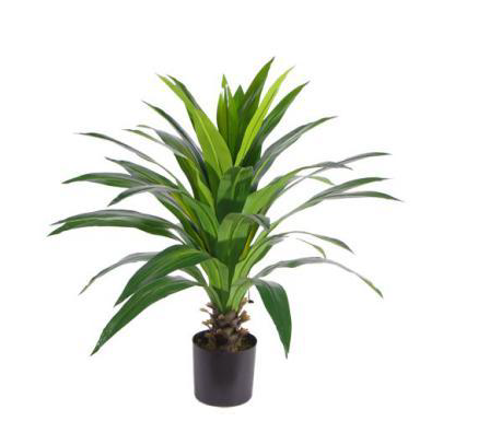 PIANTA ARTIFICIALE DRACENA 110CM