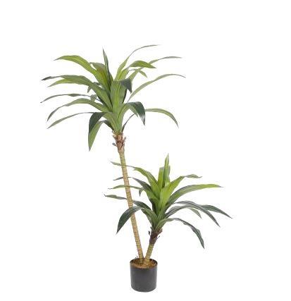 PIANTA ARTIFICIALE DRACENA 170CM