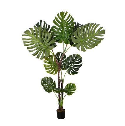 PIANTA ARTIFICIALE MONSTERA 200CM
