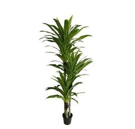 PIANTA ARTIFICIALE DRACENA 240CM