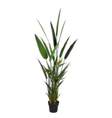 PIANTA ARTIFICIALE STRELITZIA 180CM