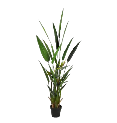 PIANTA ARTIFICIALE STRELITZIA 180CM