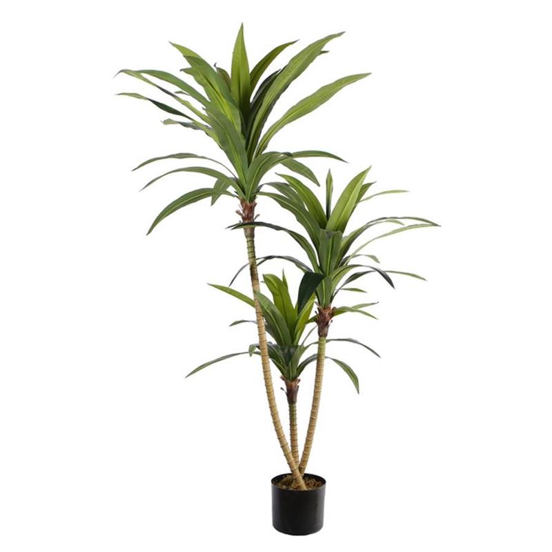 PIANTA ARTIFICIALE DRACAENA H230 CM