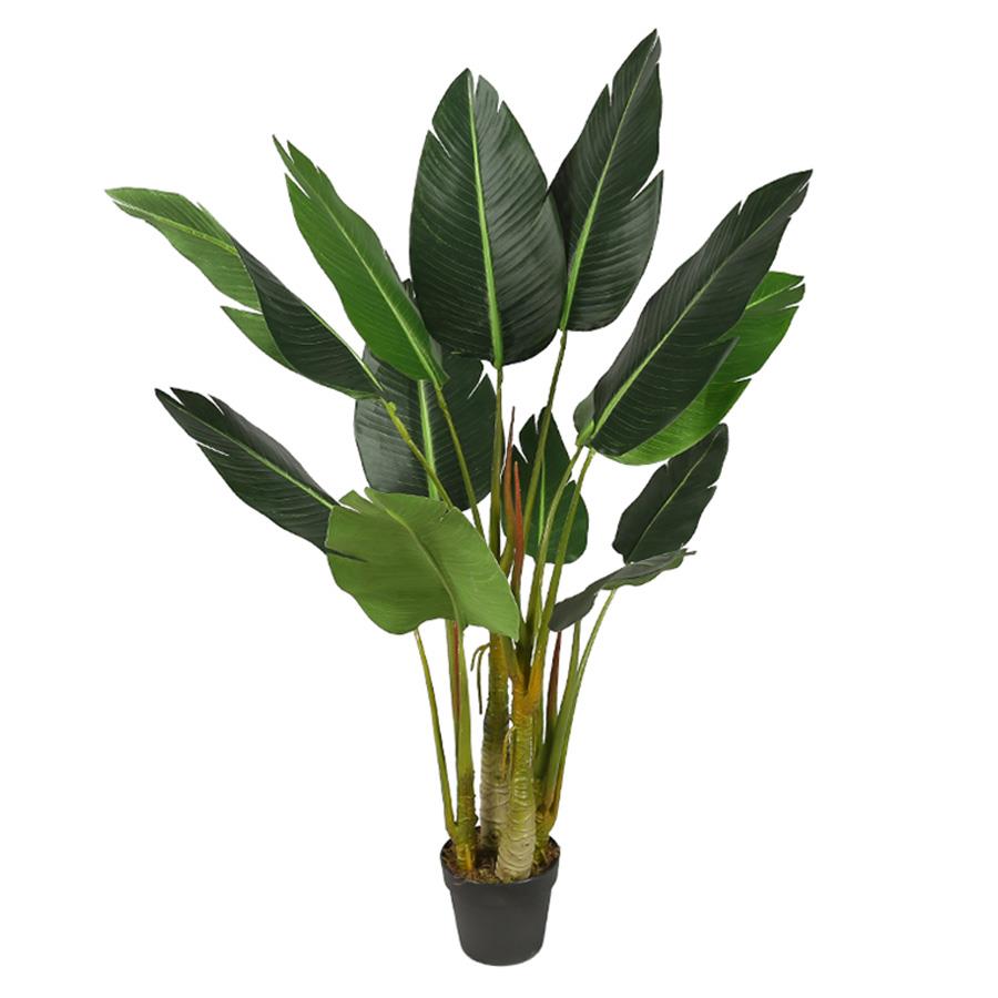 PIANTA ARTIFICIALE STRELITZIA H125CM