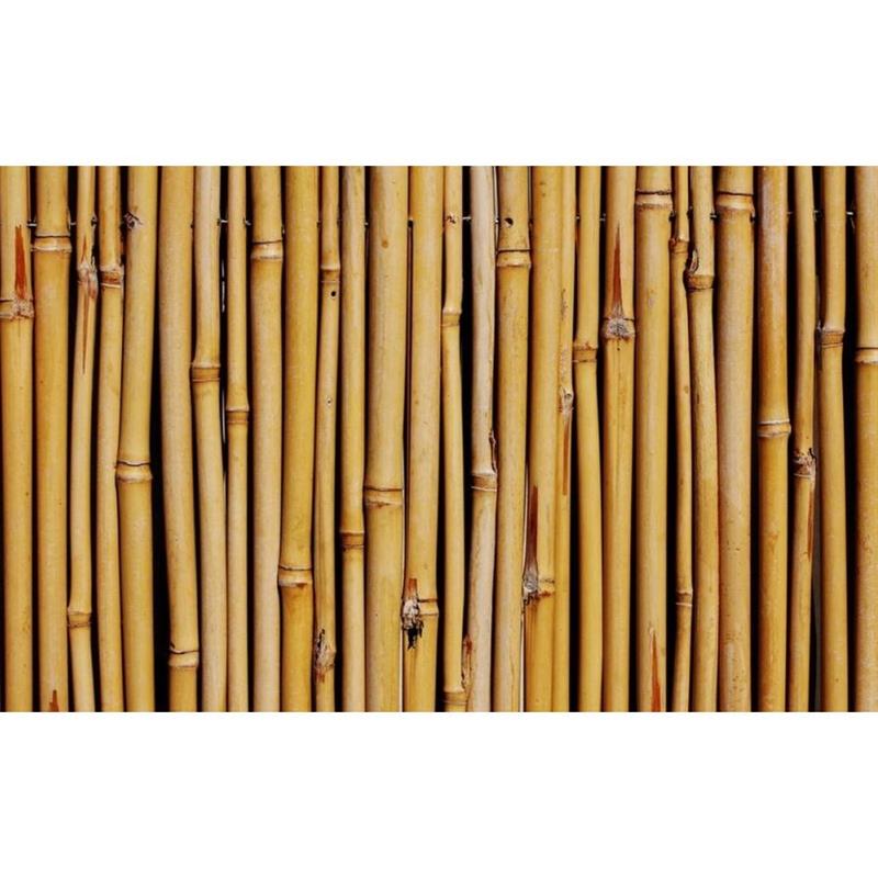 ARELLA CANNA.20 100X300CM