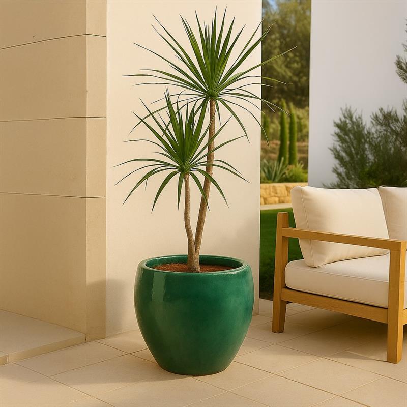 VASO SOLLER 49*50 VERDE BOTTIGLIA