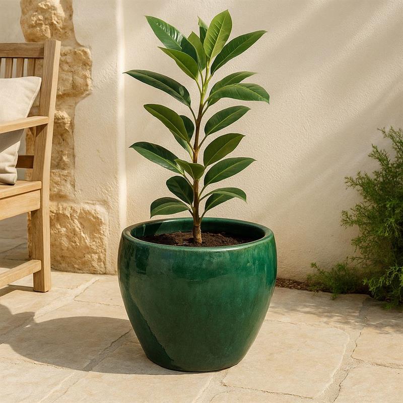 VASO SOLLER 38*41 VERDE BOTTIGLIA