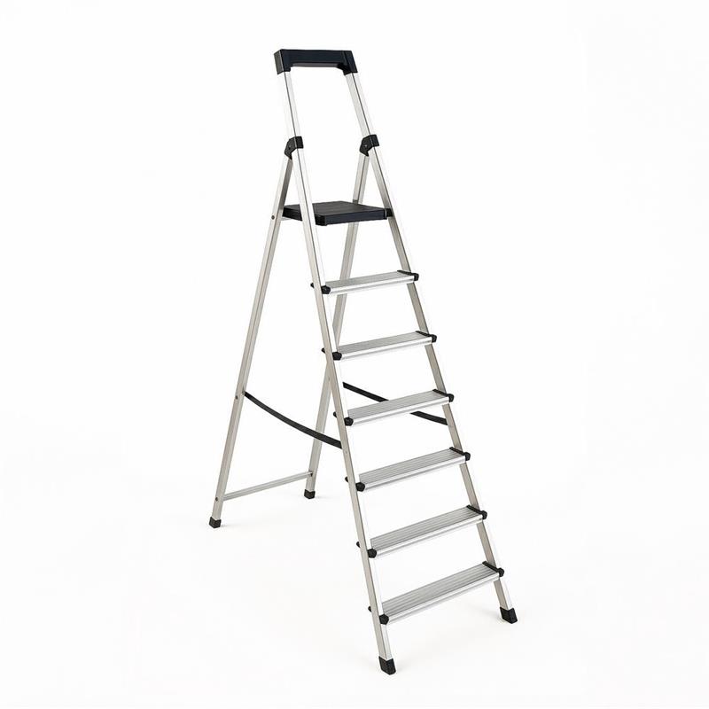 S-ALU DOMESTICA TOP.07