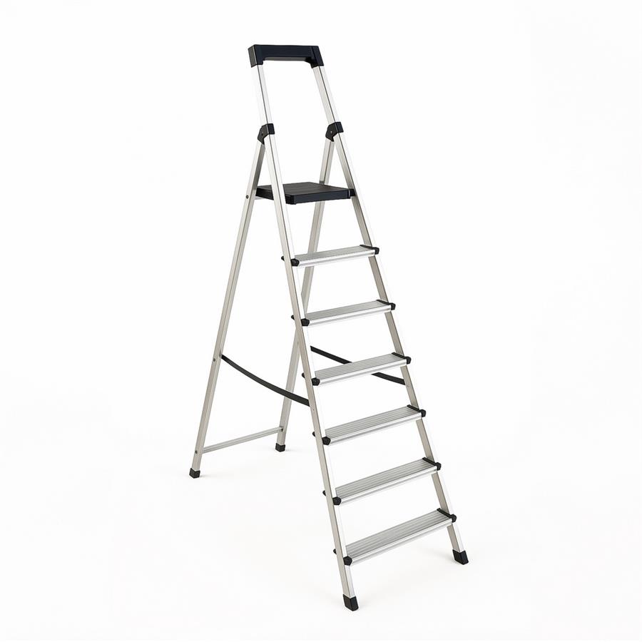 S-ALU DOMESTICA TOP.07