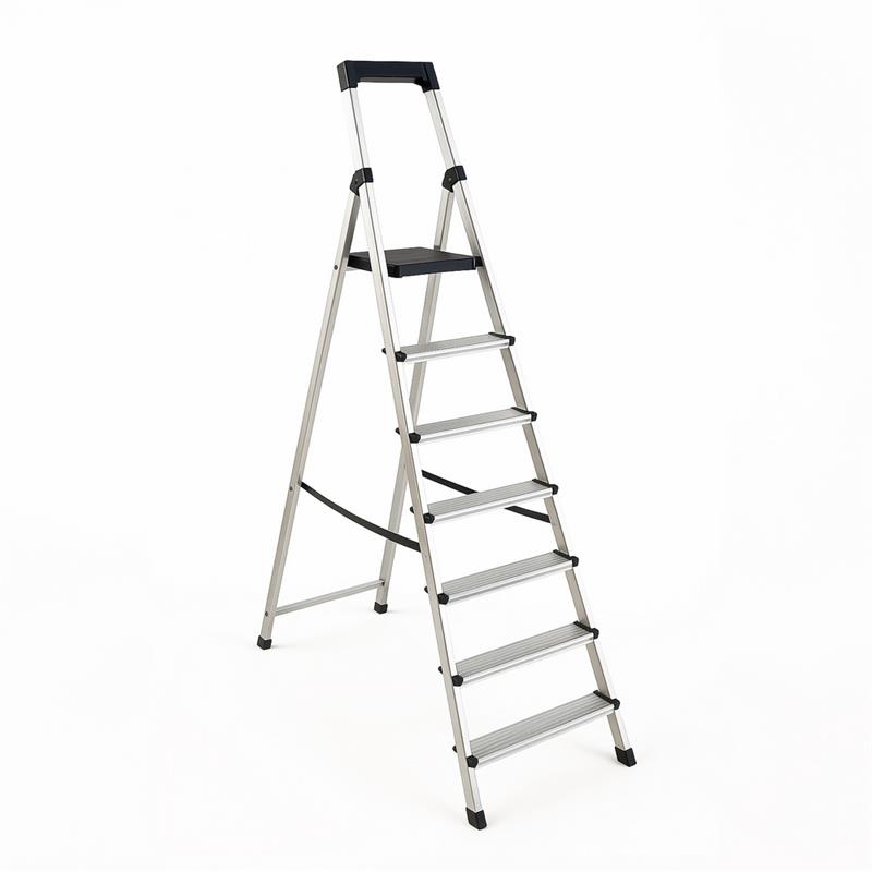 S-ALU DOMESTICA TOP.07