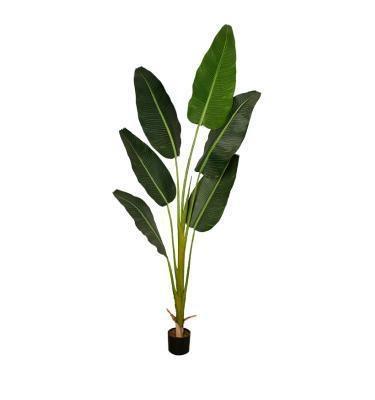 Pianta artificiale Albero del Viaggiatore 240 cm