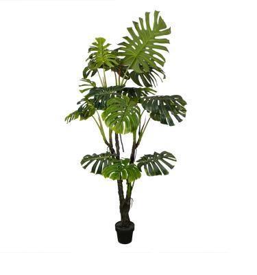 Pianta artificiale  alta 200 cm - Monstera