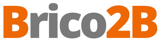 logo-brico2b