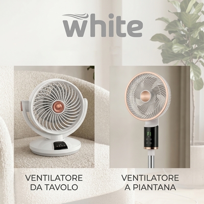 whitge-arrivi